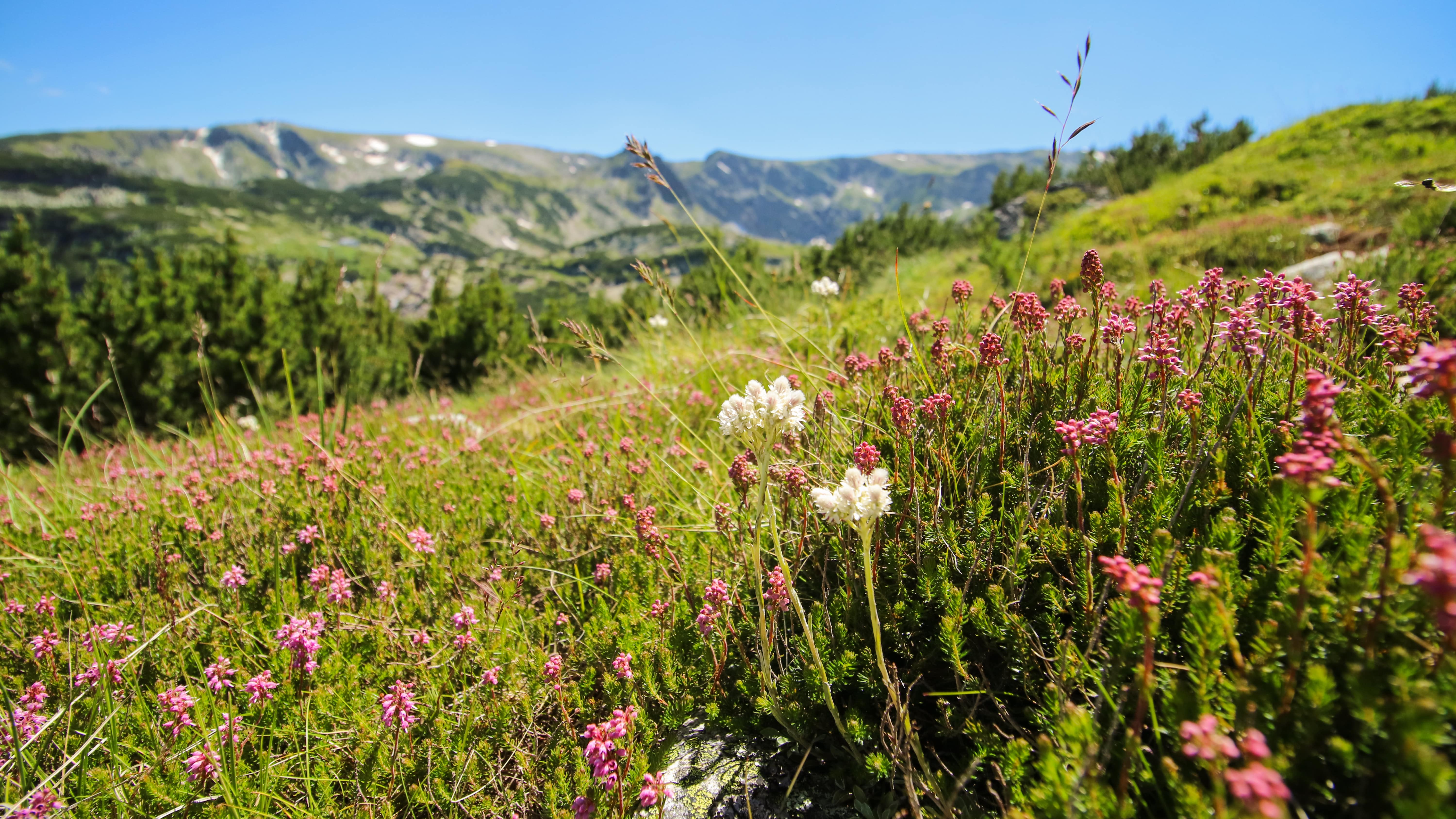 Rila Mountains