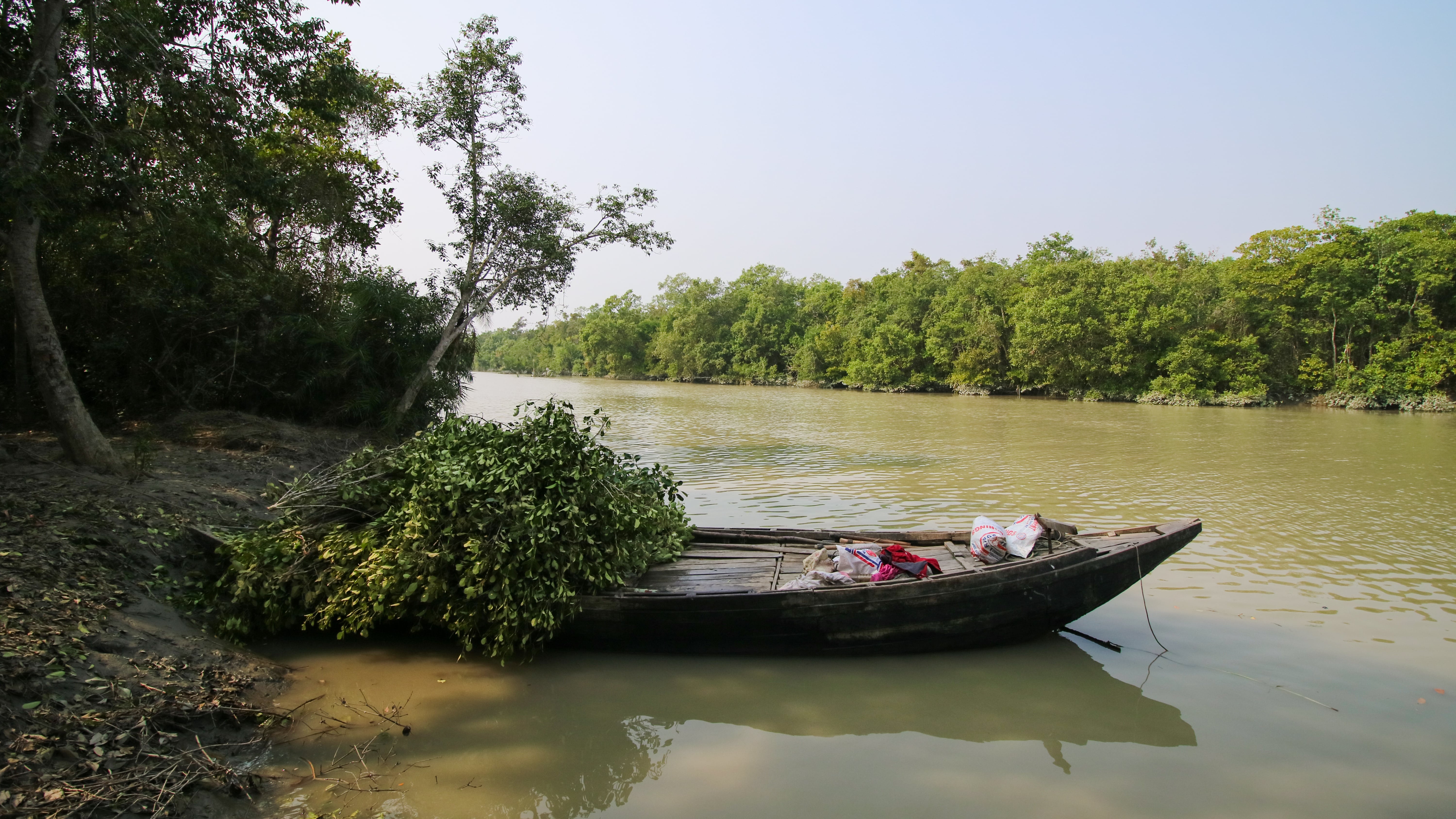 Sundarbans & Mongla
