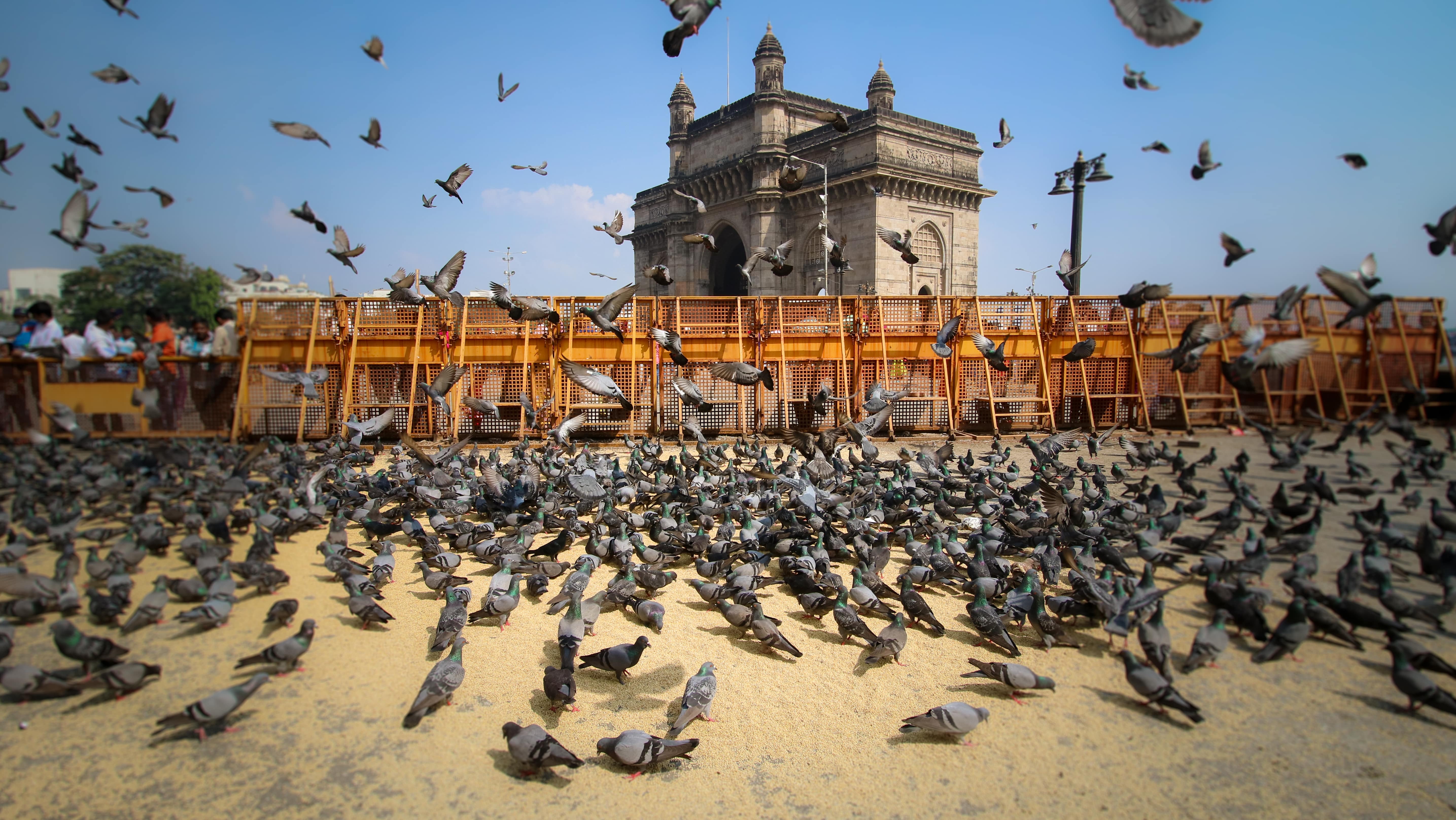 Mumbai